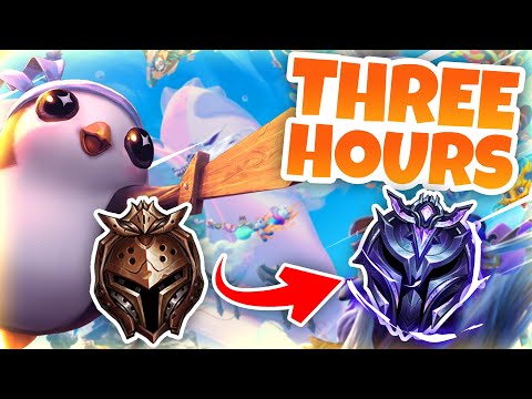 THIS is how you CLIMB to DIAMOND in 3 HOURS with ANY TFT COMP