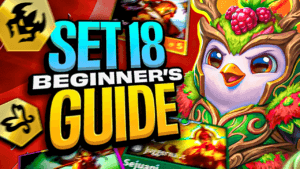 Beginner Guide for Set 18